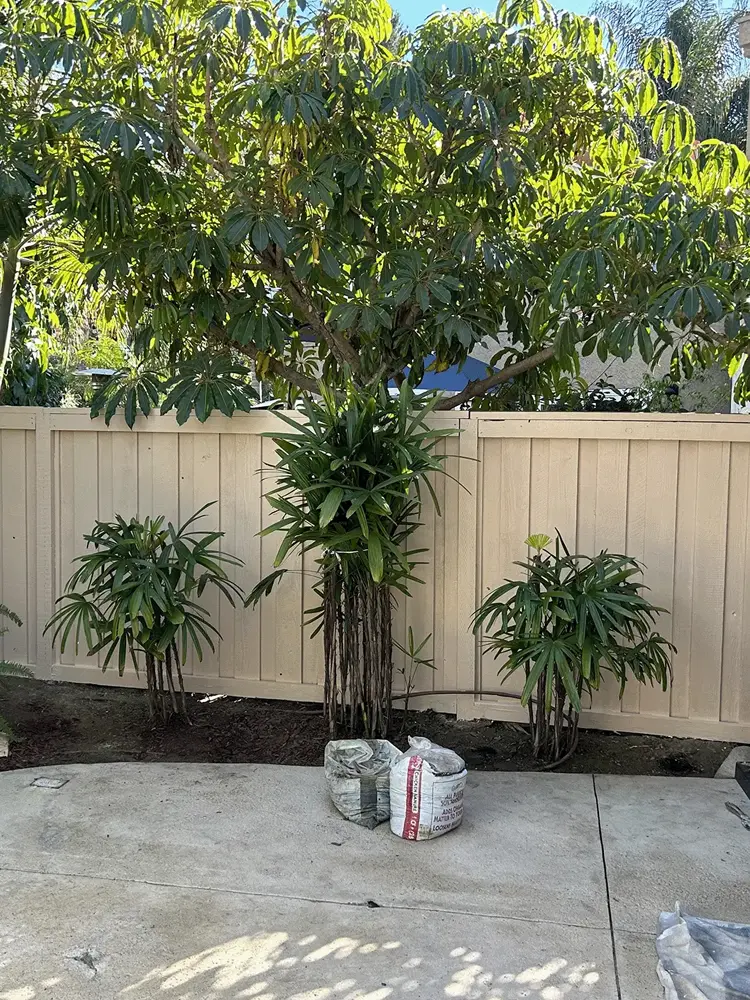 IMG_8051-2.webp